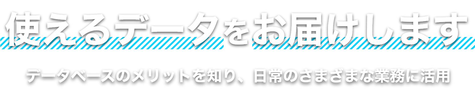 使えるデータをお届けします